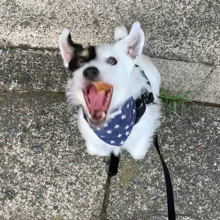 9d197b1f 9389 4a64 95f9 b9454b2b0029 1721947939951