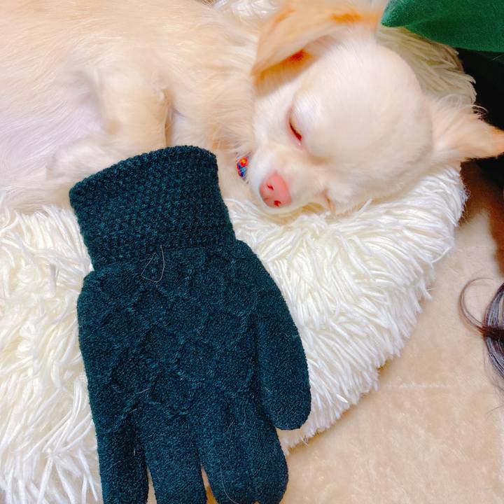 9d19bec1 7125 474a 9bd2 3cd693db6dfc 1640694222082