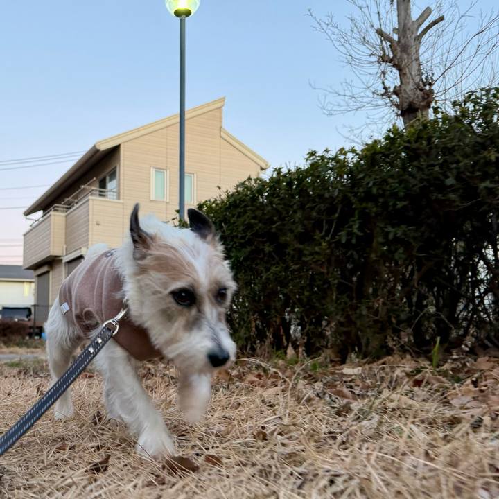 9d19c0d1 407f 4fba 80b7 1b84ff5a46ca 1769162202743