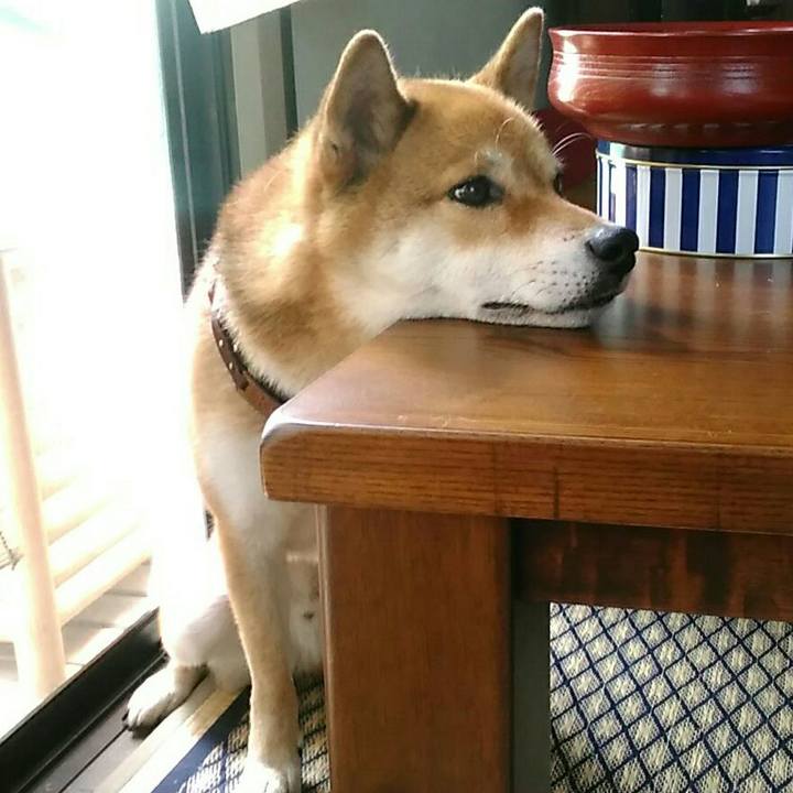 9d1a4773 9c5c 4910 a577 d5dbe432e702 1531037869590