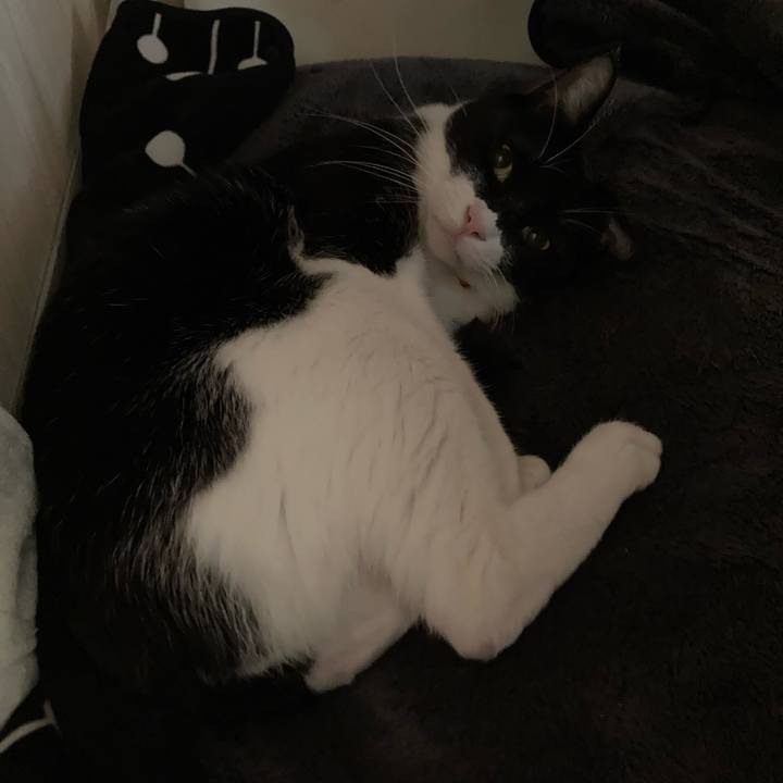 9d1a4b28 d96f 417d 82af 2187bc0e4887 1647934561414