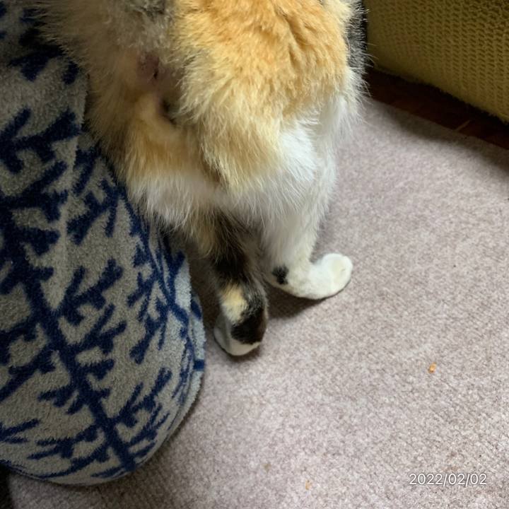 9d1a8b7e 9016 484f b5aa 6ff80ecefc55 1643809146973