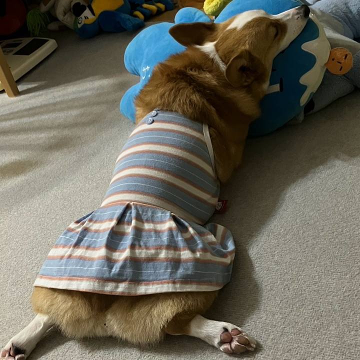 9d1b14cf c2e4 4684 a789 81be868f8c20 1757346278009