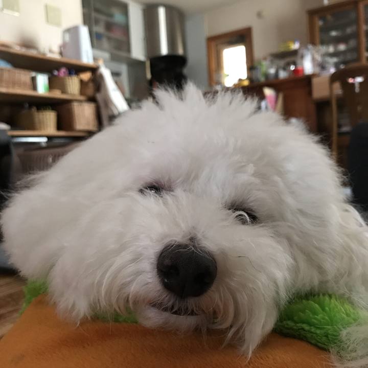 9d1b18e0 a7c3 4b51 8242 a7ccc540f876 1533455275750