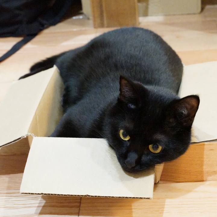 9d1b4927 73ea 49de 8f97 43e9d190775a 1533685946630