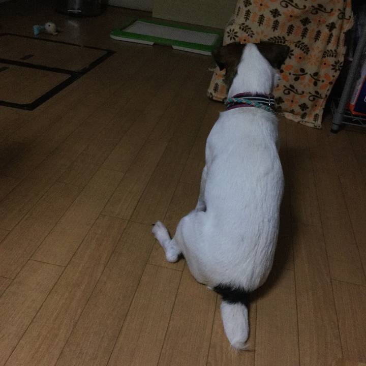 9d1b572f b3a5 42b1 9825 458f67332852 1508840890304