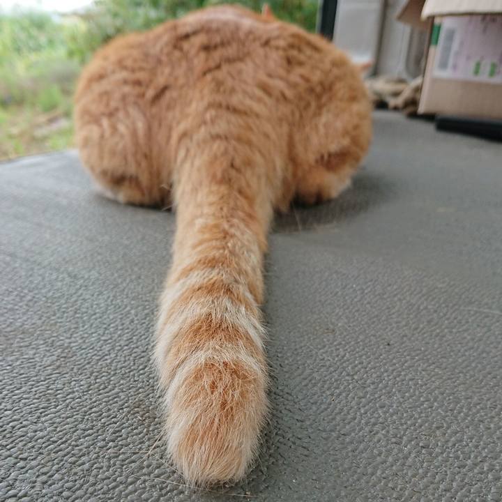 9d1b616d e54c 4a2c af79 943532878086 1565597184829