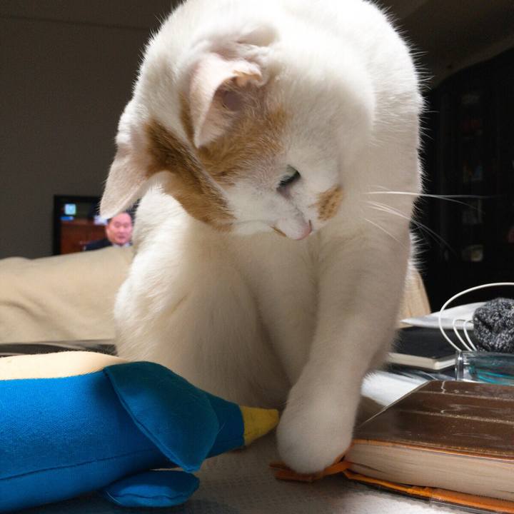 9d1b76e5 c4e2 41c0 a6c5 62f676ba7604 1515502266639