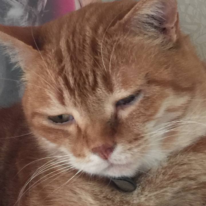 9d1be4d4 9621 40ac bab7 35ace5bab431 1559372361246