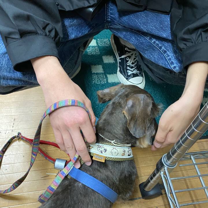 9d1bf2c0 3c00 42fd 94bc ee16cf68a1d1 1619089930636