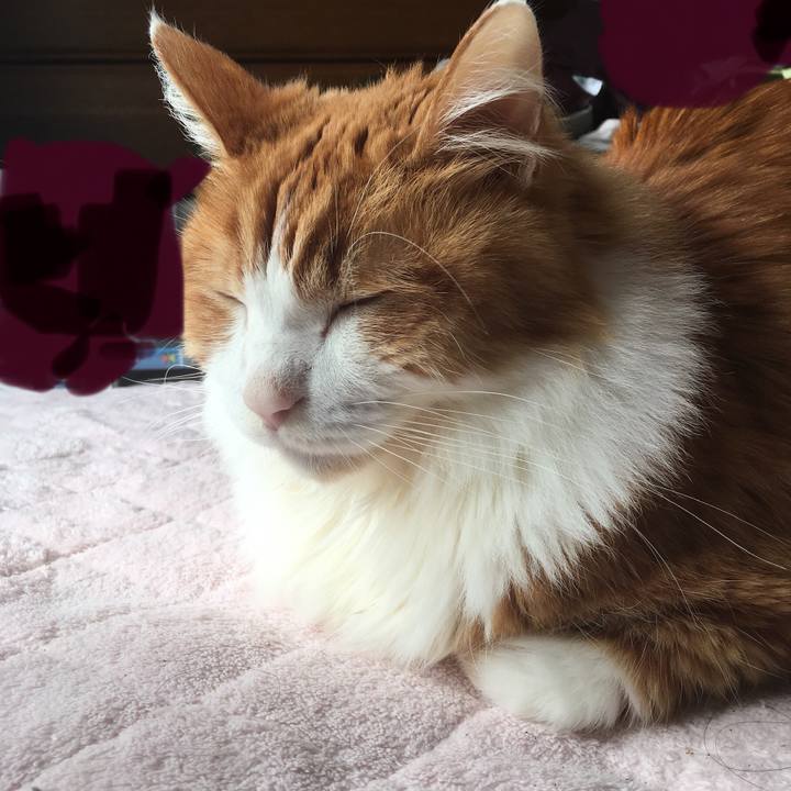 9d1c0434 2638 4a3d 8fab 75d15c506b41 1573780634282