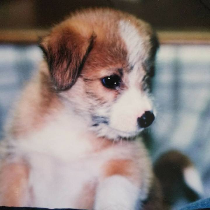 9d1c1749 2416 4efa 9ae9 d35133a48ec9 1519018276996