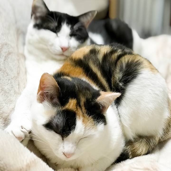 9d1c2258 fcad 49c5 8dad 55d1cf29fbe1 1524102281071