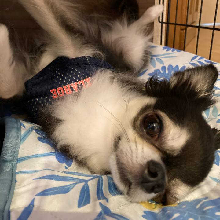 9d1c310e 9762 42d3 8236 1e8af377af59 1719762241322