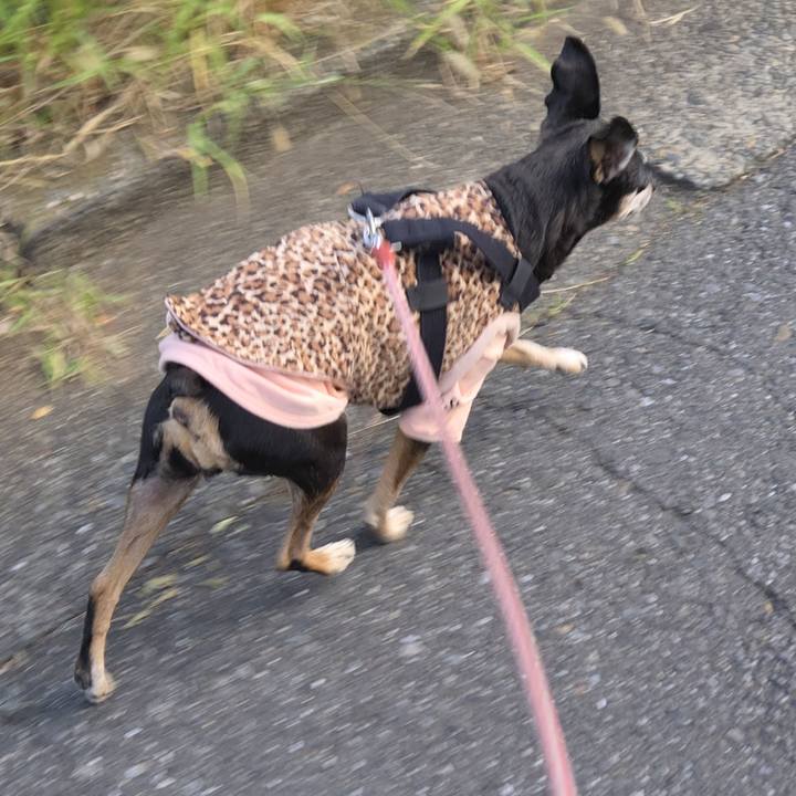 9d1ca340 aa9f 4ecb 840c 715007027a61 1760052885238