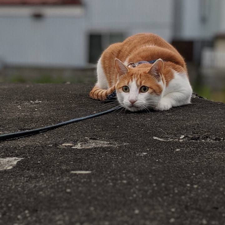 9d1ccef5 3e85 4ebb 9a4b 73387df2188d 1562500958543