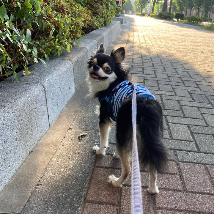 9d1cf99c c18a 468b 9a22 cdd962cc5b92 1690644331463