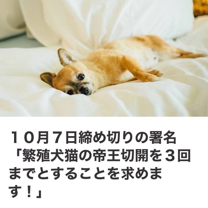 9d1d010c f639 4151 b113 07663c17d6cb 1601987437981