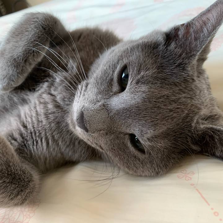 9d1d18ec d923 473e a94e 205bd591a9d4 1622086639432