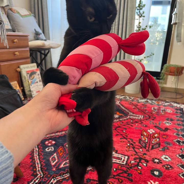 9d1d2e33 b624 411d 941a 7e471eaab6a8 1735439975821