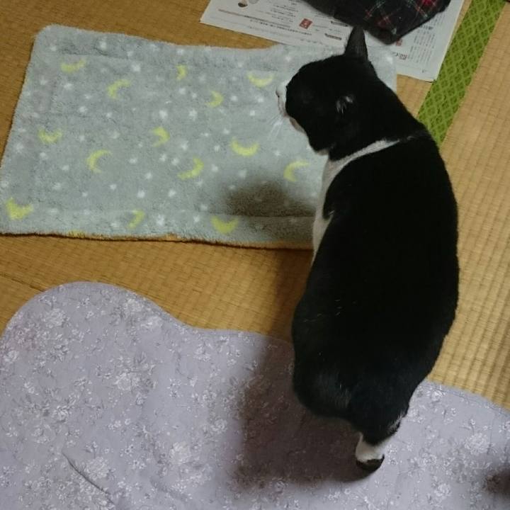 9d1d408b 7373 4b27 9e93 d8f809d7c490 1514159914309