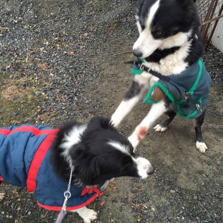 9d1d4675 d9a6 4707 96ba 6c967a623cab 1517099328674