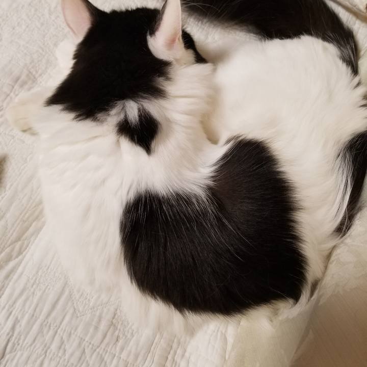 9d1d7f74 5f19 4aff a747 87c1170d08c3 1539430202959