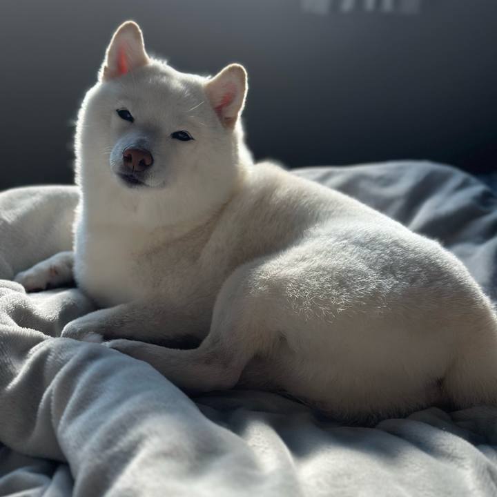 9d1d9bb1 f65b 4b68 91f2 064cb78d2a5f 1773967307011