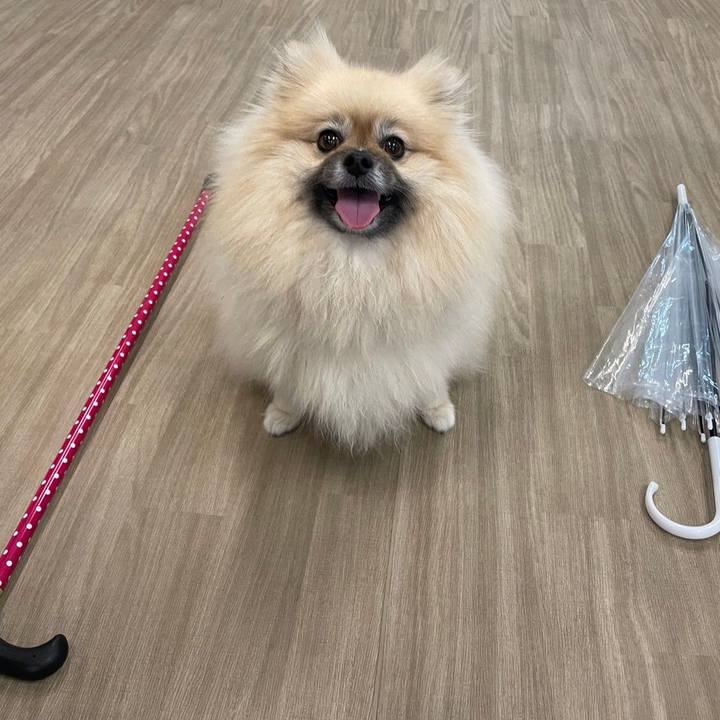 9d1d9c3f e997 4b41 910c 1706f01db5e5 1725508087428