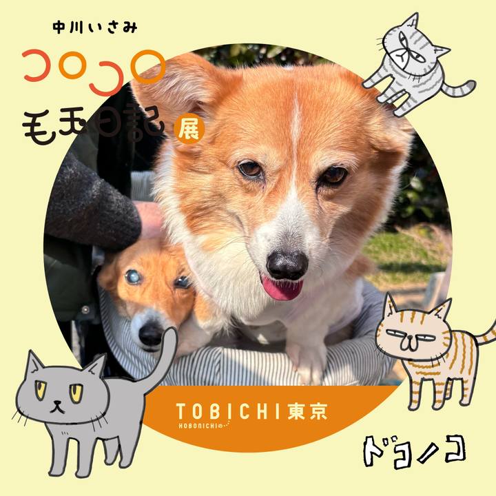 9d1dbaa3 ddd0 4175 a24e d486d3f3d421 1740286034240