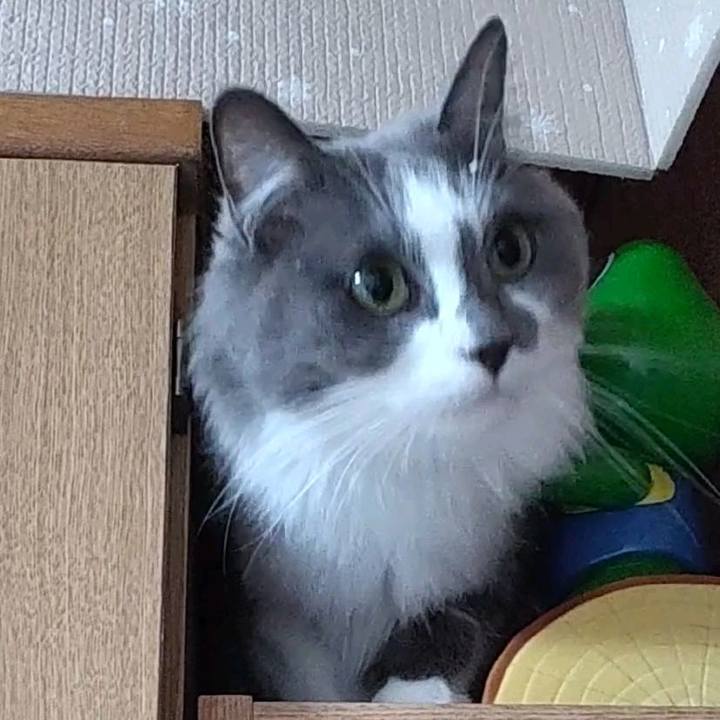 9d1df6b5 bdd1 4158 8de7 3826b41a9315 1700952995352