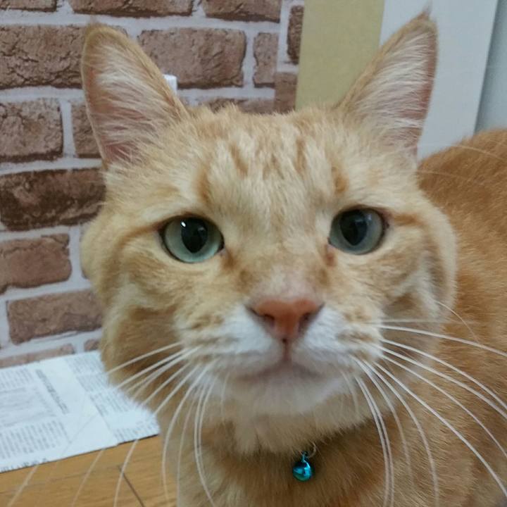 9d1df8e6 9a37 485e 9f87 5b25e2b041a3 1570494064740