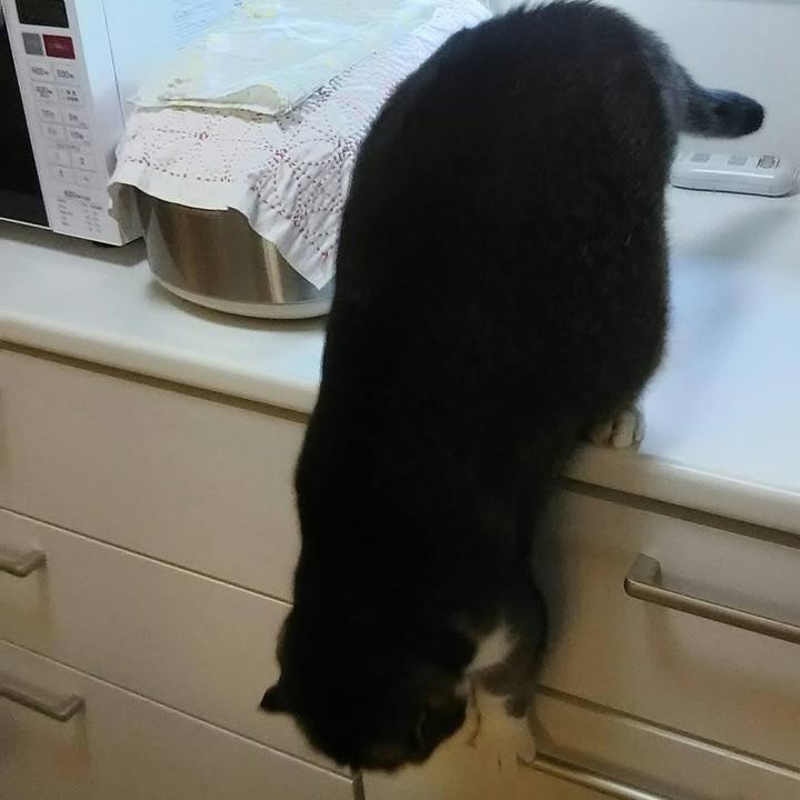 9d1e32c2 6e45 4702 86ec 5de117198a5d 1546040071501