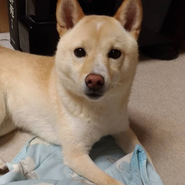 9d1e34da fc92 4caf bf89 2a3dd2fa17f5 1529452618941