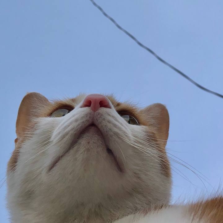 9d1e34f4 a1ce 4420 9970 50644b5f20a0 1550386231123