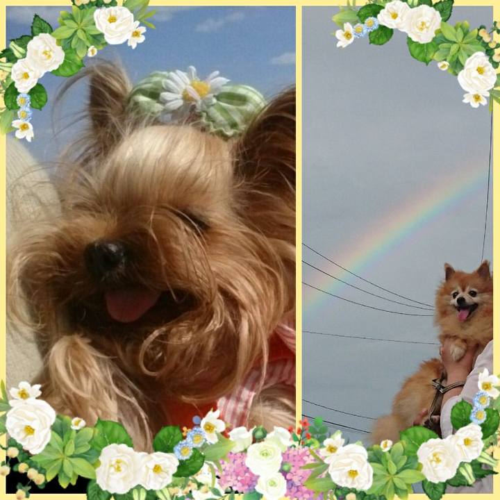 9d1e3a70 9496 4384 a725 38a404f76dfa 1534143364399