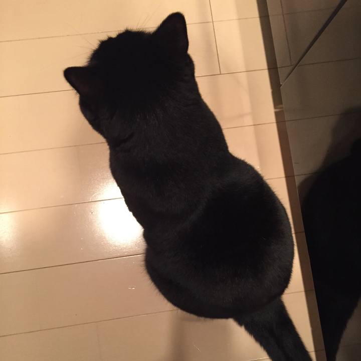 9d1e4878 76a5 4650 9666 cb8e211f5eb1 1509524809594