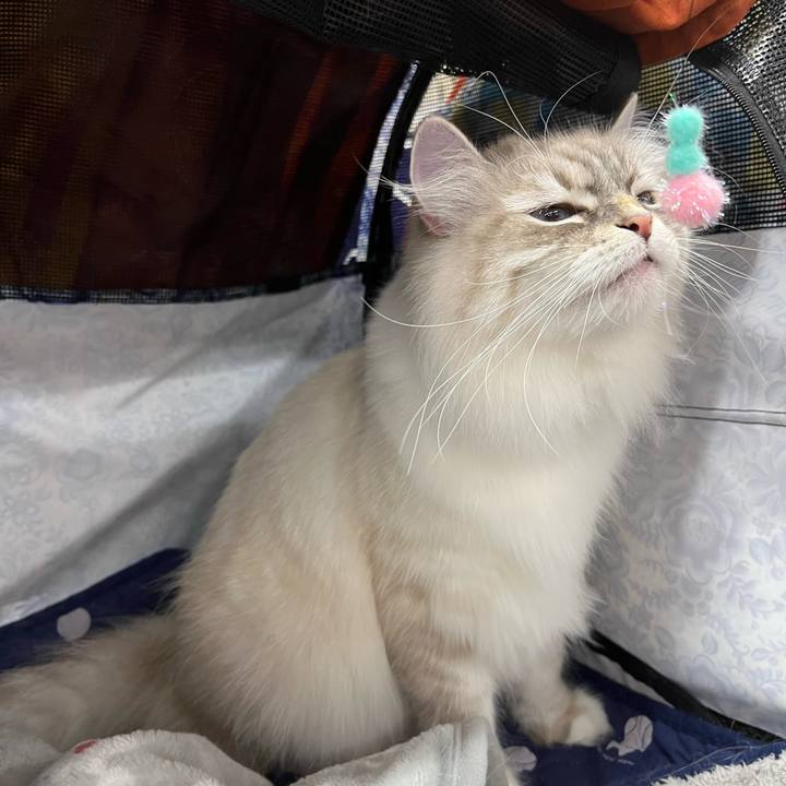 9d1e7f2c 34e2 483d 8d2a a1bfb3221a9e 1718077400352