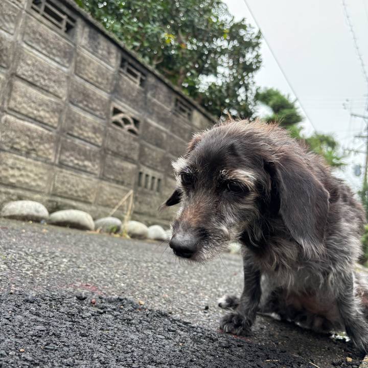 9d1e8732 6095 4c26 b9ec 849b0977106e 1760226621329