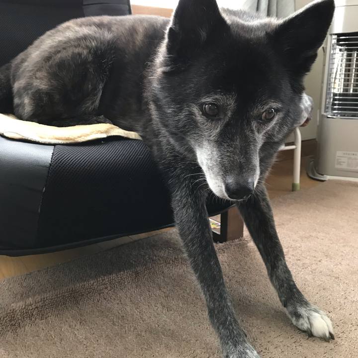 9d1e9d61 9d96 47b5 bcce f630489536a5 1573042178464