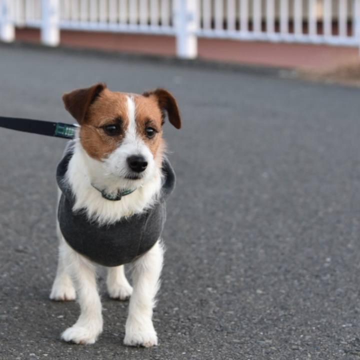 9d1ec6c8 996c 4e96 a109 3751650aa94a 1515855042385