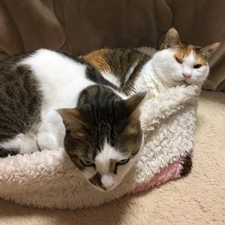 9d1efbff 8e92 41bd 93aa ca1a8c7f7e16 1519687357531