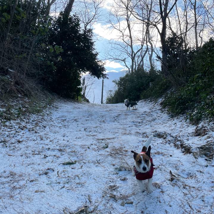 9d1f05a8 f532 49c2 a67e 5999a8993db3 1642117461271