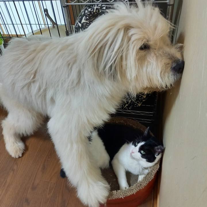 9d1f11d3 5020 46d5 bfd1 c3fdd228dd9e 1628068601146