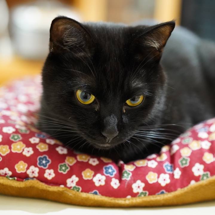 9d1f253e b891 47e7 b6ab 5f150b9a5b7e 1571183509286