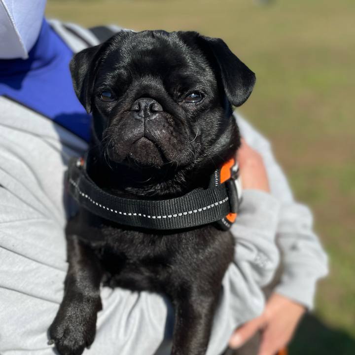 9d1f3f2c 6f12 4e6f bed1 4979009f90b7 1618098269530