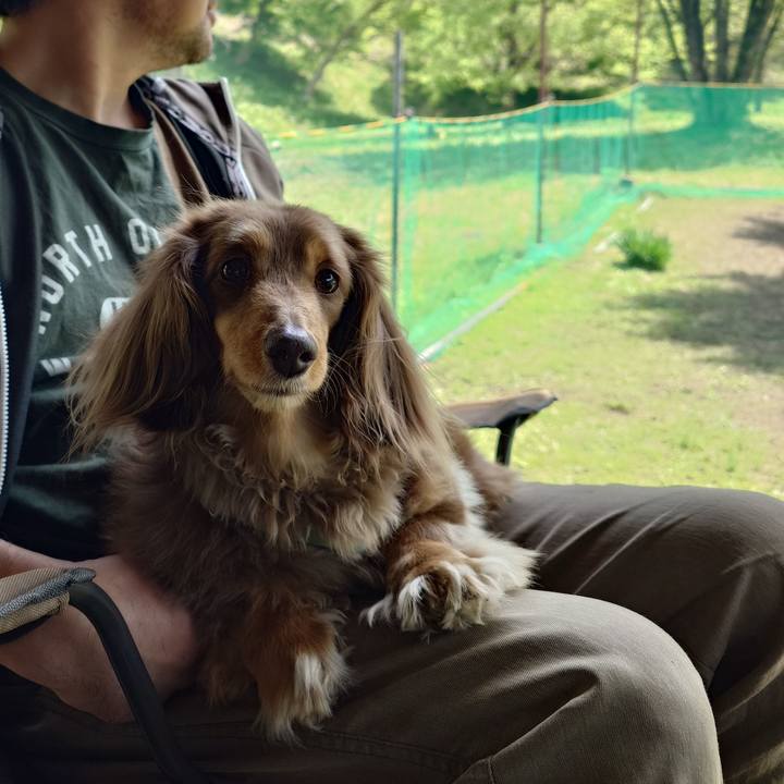 9d1f5005 38db 403e b74d 64959f4a6381 1746417375177