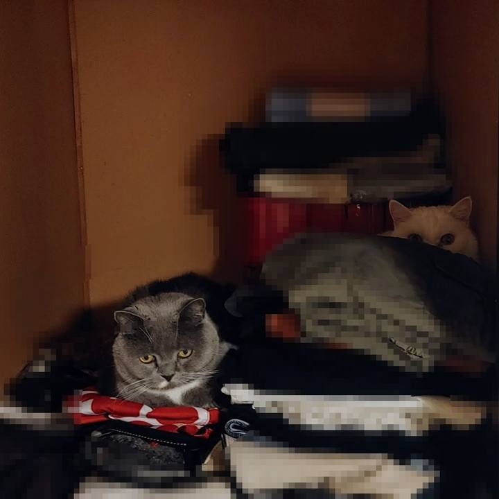 9d1f531a dd79 413a 9ebf d157aef4566a 1692359961279