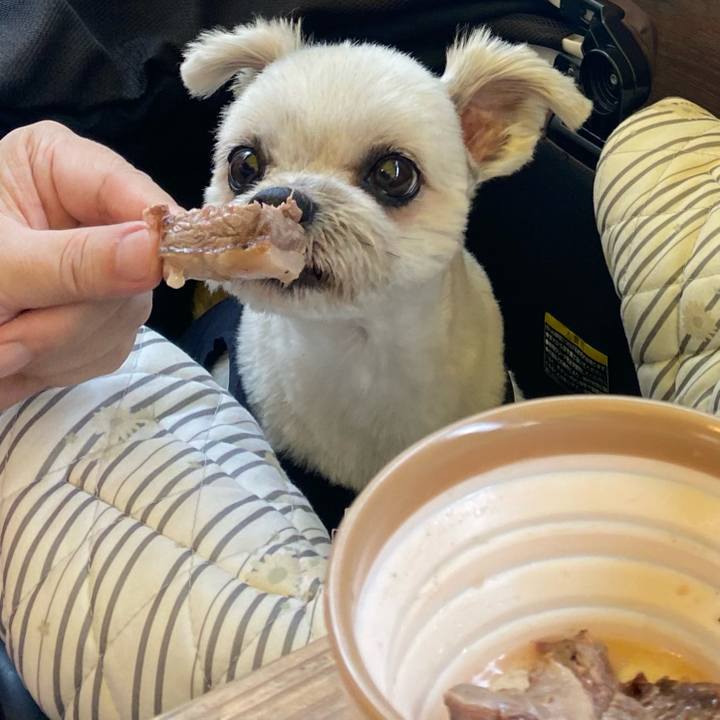 9d1fc4eb 116d 4faa b1ac 822325615442 1728794115072