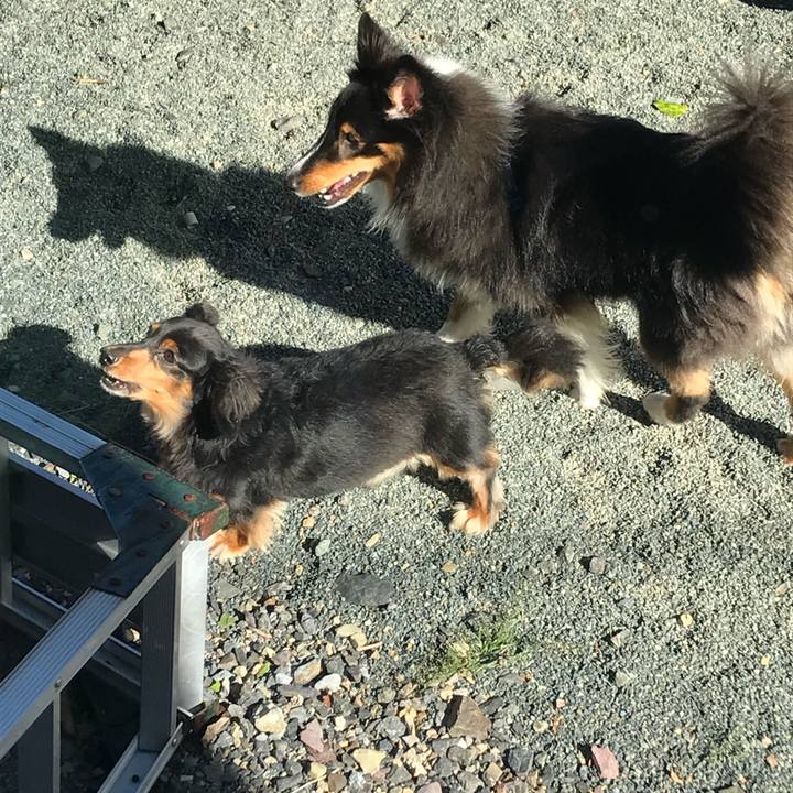 9d1fca2c d7d4 46ed 9db9 b299850e7aa3 1564698338573